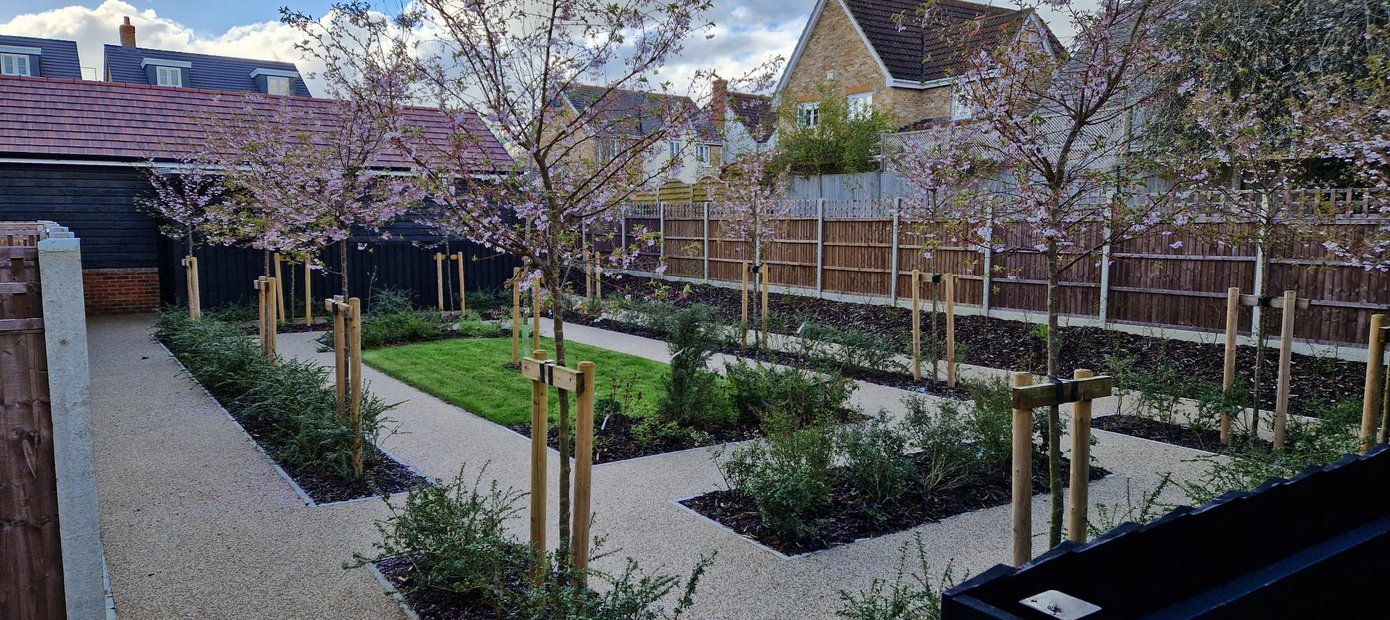 Gardens to rear of plots 25-28 M Mews